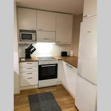 Keskustan Kaksio 45 M2 Autopaikalla, Rautatienkatu 19, 9 Krs *