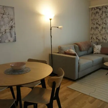Keskustan Kaksio 45 M2 Autopaikalla, Rautatienkatu 19, 9 Krs Apartment